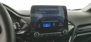 FORD Fiesta usata 59