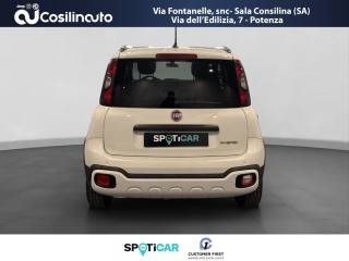 FIAT Panda Cross usata, con Alzacristalli elettrici
