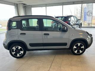 FIAT Panda Cross usata, con Fendinebbia