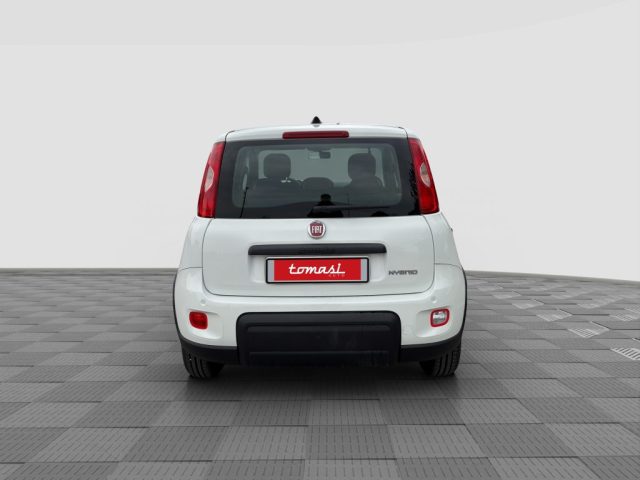 FIAT Panda usata 3
