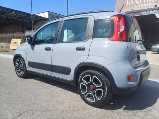 FIAT Panda usata, con Airbag Passeggero