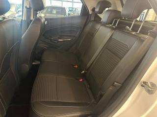 FORD EcoSport usata, con Fendinebbia