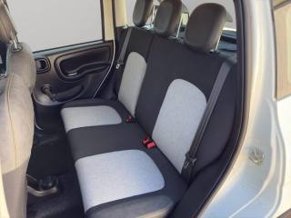 FIAT Panda Cross usata, con Isofix