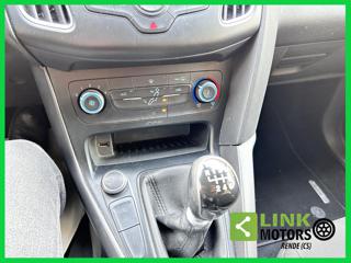 FORD Focus usata, con Sedile posteriore sdoppiato