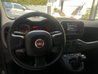 FIAT Panda usata, con Airbag posteriore