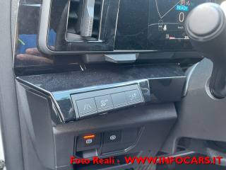 RENAULT Austral usata 21