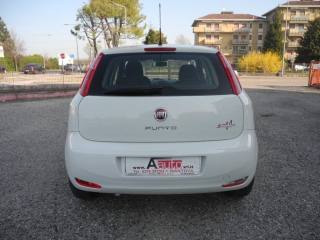 FIAT Punto usata, con Alzacristalli elettrici