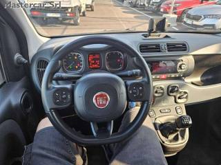 FIAT Panda usata 13