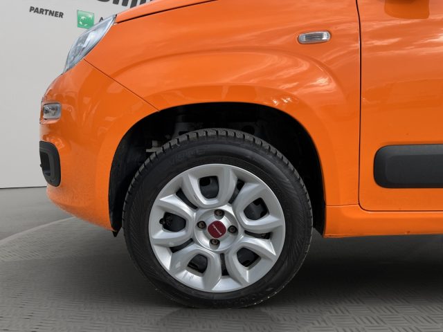 FIAT Panda usata 18
