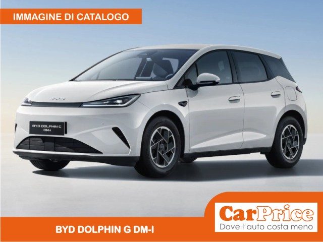 BYD DOLPHIN G DM-i usata, con Airbag