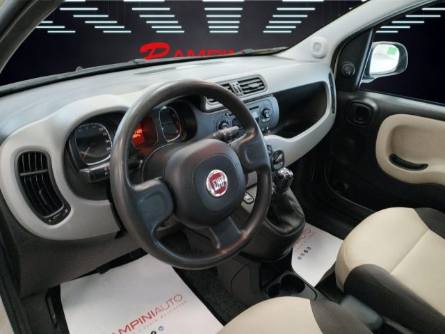 FIAT Panda usata 14