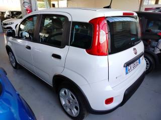 FIAT Panda usata, con Climatizzatore