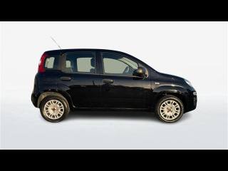FIAT Panda usata, con USB