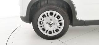FIAT Panda usata 35