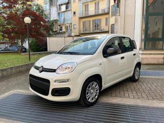 FIAT Panda 1.0 FireFly Hybrid CAR PLAY 5