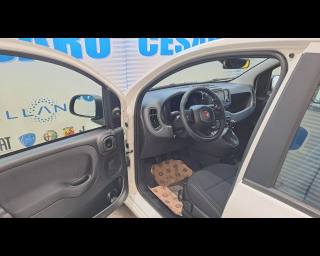 FIAT Panda usata, con Controllo automatico clima