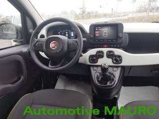 FIAT Panda Cross usata, con Airbag testa