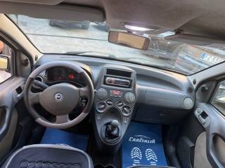 FIAT Panda usata, con Fendinebbia