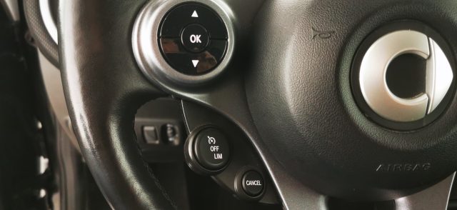 SMART ForTwo usata 52