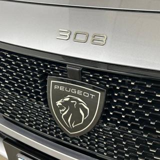 PEUGEOT 308 usata, con Volante multifunzione