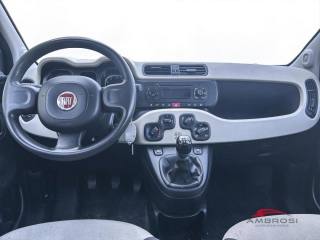 FIAT Panda usata 12