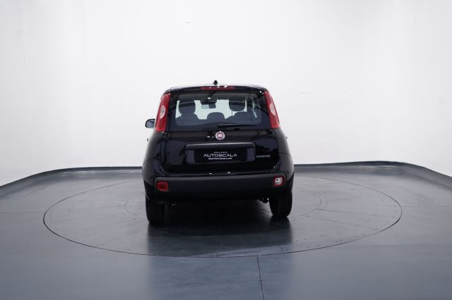 FIAT New Panda usata, con Antifurto
