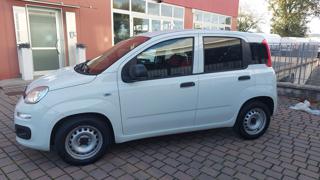 FIAT Panda usata, con Airbag Passeggero