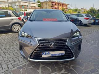 LEXUS NX 300 usata, con Cruise Control