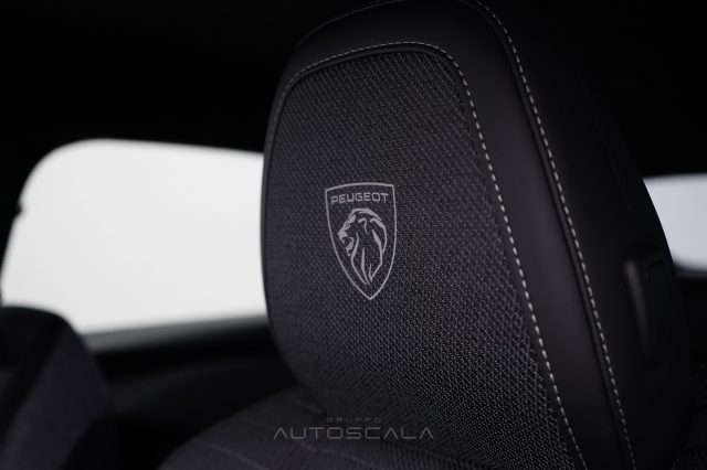 PEUGEOT 3008 usata, con ESP
