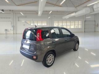 FIAT Panda usata, con Airbag