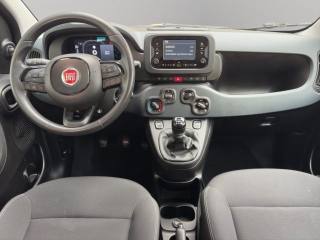 FIAT Panda usata, con Airbag testa