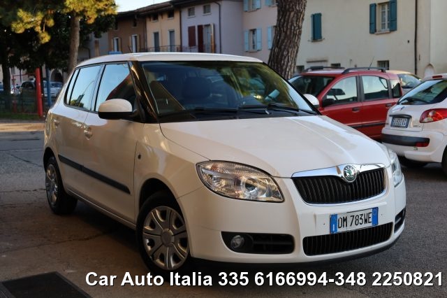 SKODA Fabia usata 75