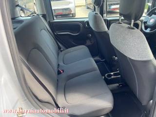 FIAT Panda usata, con Airbag testa