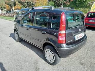 FIAT Panda usata, con Cronologia tagliandi