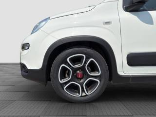 FIAT Panda usata 15