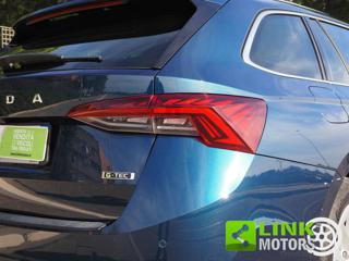 SKODA Octavia usata 46