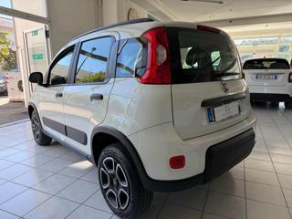 FIAT Panda usata, con Climatizzatore