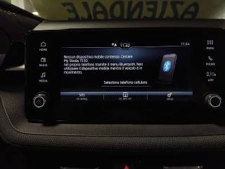 SKODA Fabia usata 23