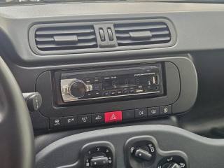 FIAT Panda usata, con Cronologia tagliandi