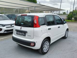 FIAT Panda usata, con Antifurto