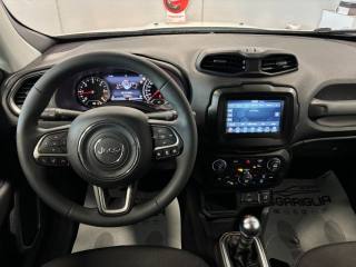 JEEP Renegade usata, con Controllo automatico clima