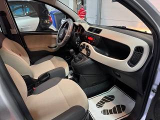 FIAT Panda usata 17