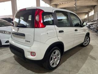 FIAT Panda usata, con Autoradio
