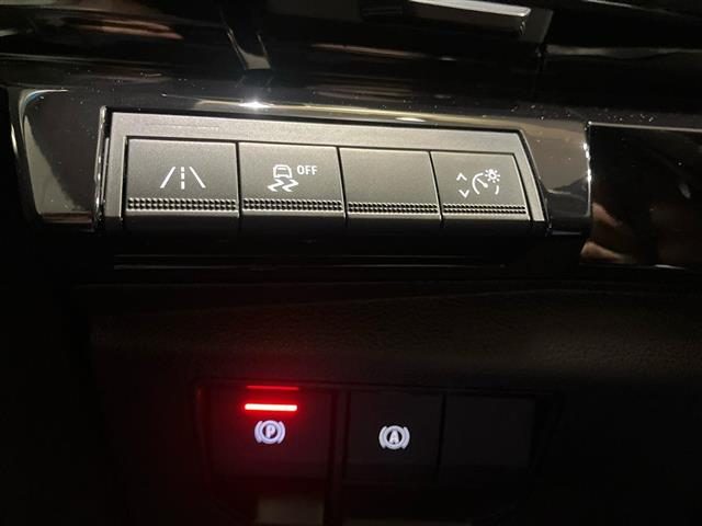 RENAULT Austral usata 25
