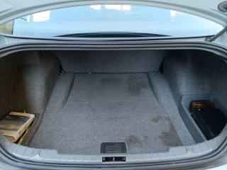 BMW 318 usata, con Fendinebbia
