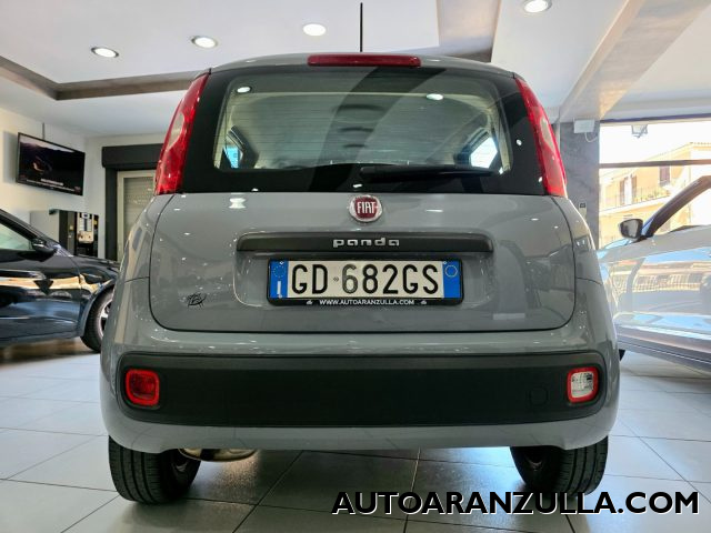 FIAT Panda usata 18
