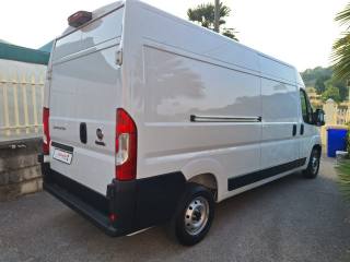 FIAT Ducato usata, con Cruise Control