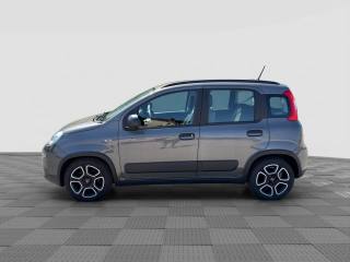 FIAT Panda usata 1