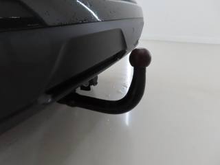 RENAULT Austral usata, con Fendinebbia