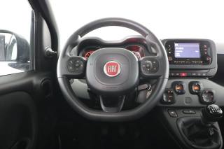FIAT Panda usata 5